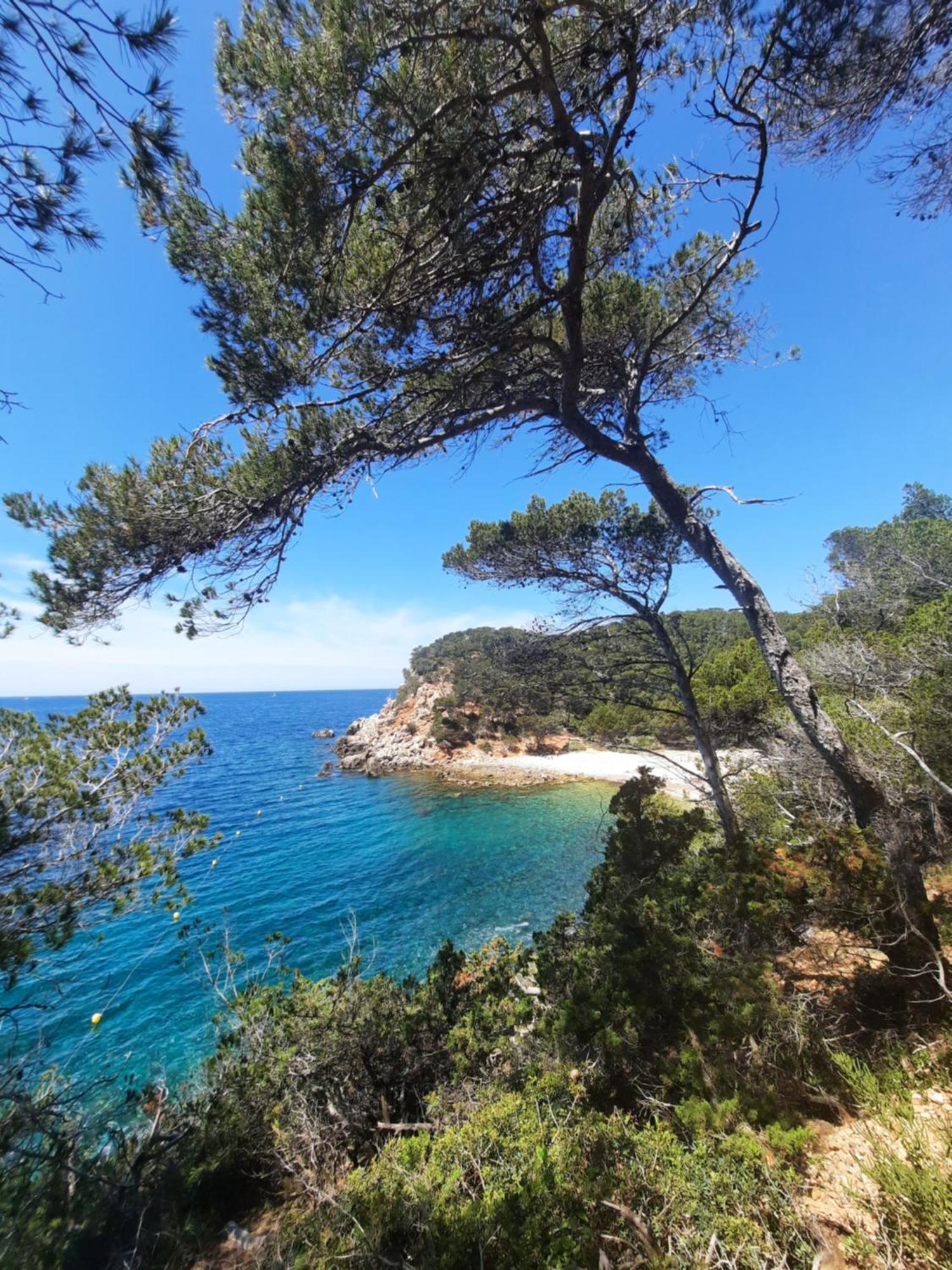 Maison Independante Avec Piscine Privative Pres De La Mer La Garde  Εξωτερικό φωτογραφία